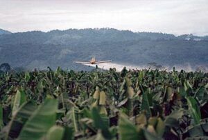 arial-spraying_bananer