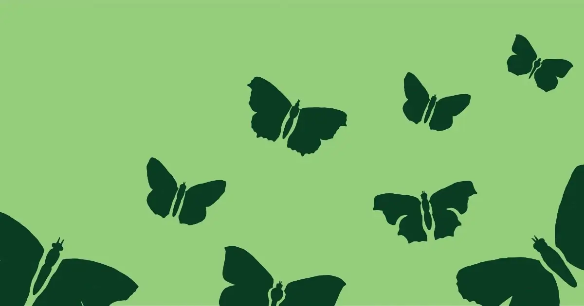 Sommerfugle grafik