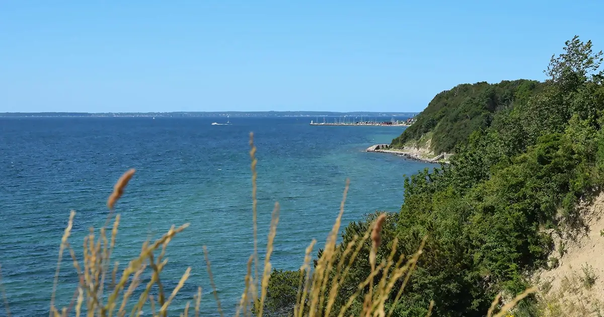 Hven - foto af Maria Eklind